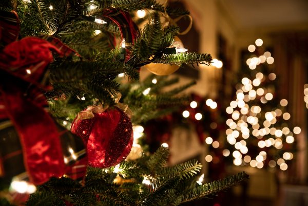 Cel mai frumos cadou de Crăciun: o nouă viață! – Ava Marinescu