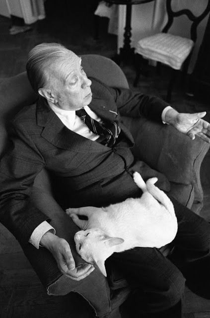 Pisicile lui Borges
