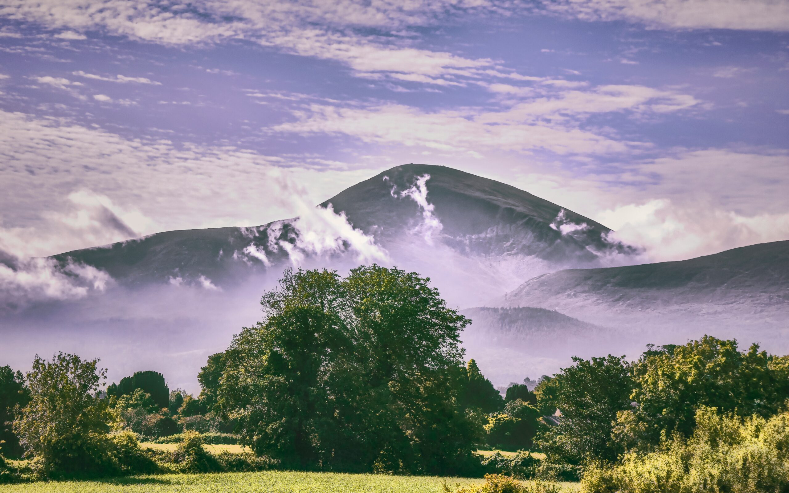 green trees near mountain under white clouds during daytime